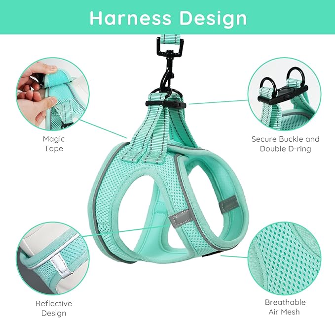 BELLA & PAL Puppy Harness with Leash Set, Dog Harness for Small Dogs No Pull, Dog Leash for Small Dogs, Step in Harness for Extra Small Dogs, Light Green Harness, XS