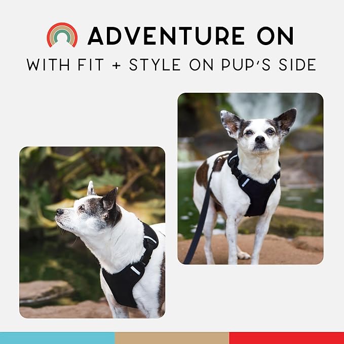 Dog Harness, Puppy Harness, Soft Harness for Dogs, Comfortable Dog Harness, Small Dog Harness, Dog Harness with Padding, Snug Fit Design, 4 Point Adjustable - Wildebeest (M - 22~28 inch Girth, Black)