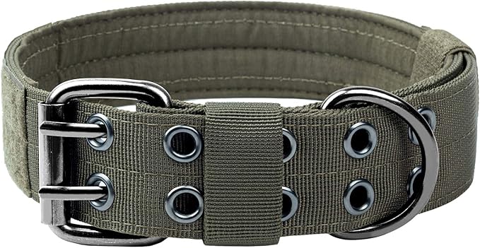 OneTigris Military Adjustable Dog Collar with Metal D Ring & Buckle 2 Sizes (Ranger Green, M)