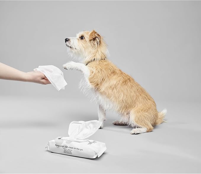 Fragrance Free Wipes, Gentle Multi-Purpose Cleansing Towelettes