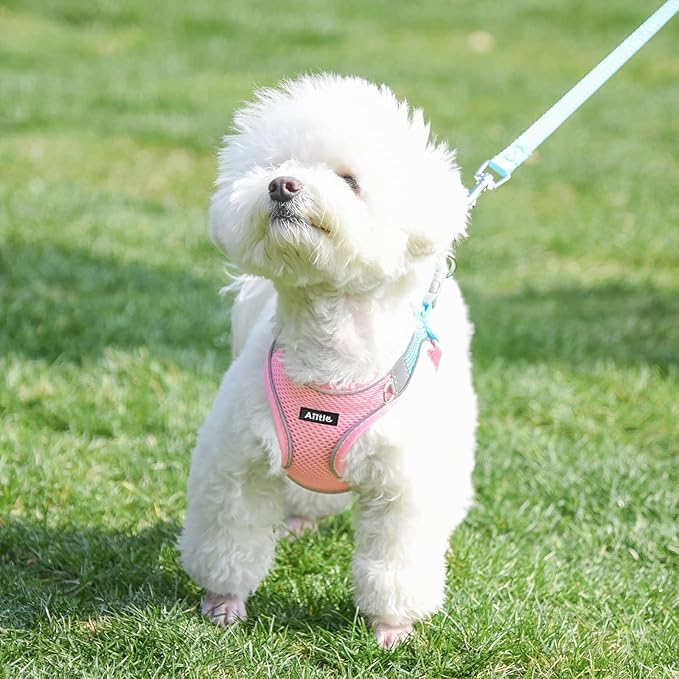 AIITLE Easy Walk Dog Harness and Leash Set - Pet Supply No Pull, Step in Adjustable Dog Harness with Padded Vest for Spring, Dog Harness No Choke Over, Easy to Put on Medium Dogs Pink L
