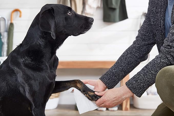 The Spruce Waterless Pet Wash, No Rinse Moisturizing Shampoo for Pets - Daily Pet Care - Cleaning, Cleansing, and Conditioning for Dogs, Puppies, and Cats - Fresh, 17oz