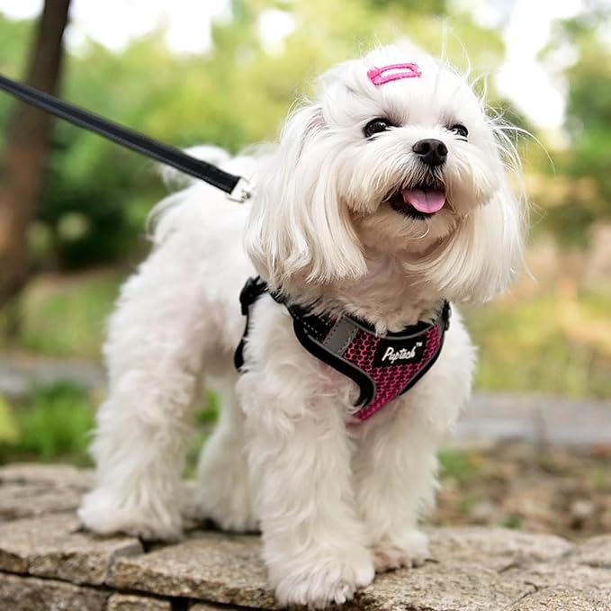 PUPTECK No Pull Dog Harness and Leash Set Reflective No Choke Step in Puppy Halter for XS Small and Medium Sized Dogs, HotPink, Breathable Mesh, S