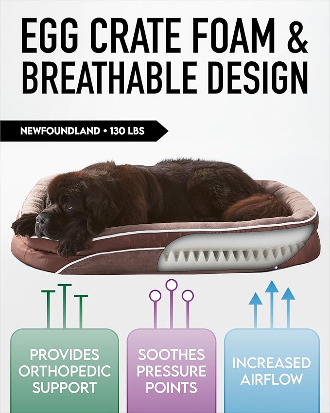 OhGeni Orthopedic Dog Bed for Extra Extra Large Dogs, Dog Couch Design with Egg Foam Support, Removable, Machine Washable Plush Cover and Non-Slip Bottom with Four Sided Bolster Cushion (Brown)