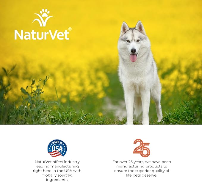 NaturVet Hemp Shampoo & Conditioner 2-in-1 with Argan and Coconut for Dogs, 16oz Liquid, Made in The USA
