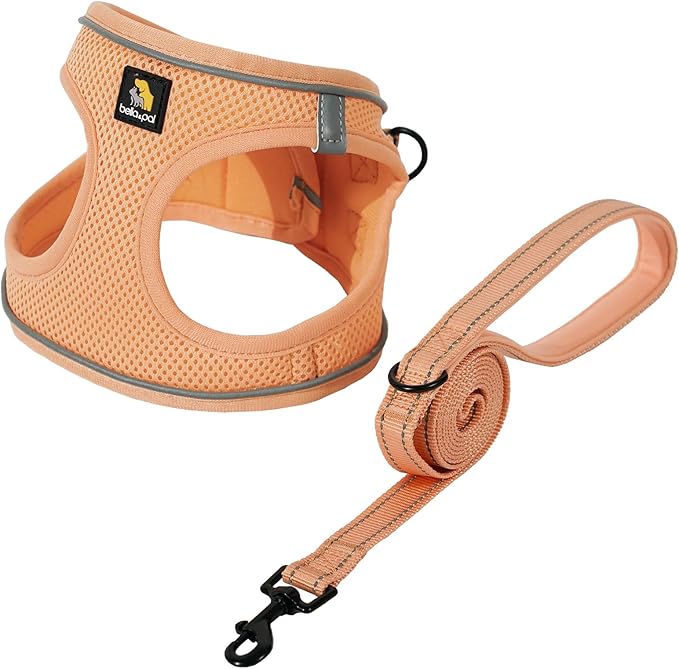 BELLA & PAL Puppy Harness with Leash Set, Dog Harness for Small Dogs No Pull, Dog Leash for Small Dogs, Step in Harness for Extra Small Dogs, Peach Harness, XS