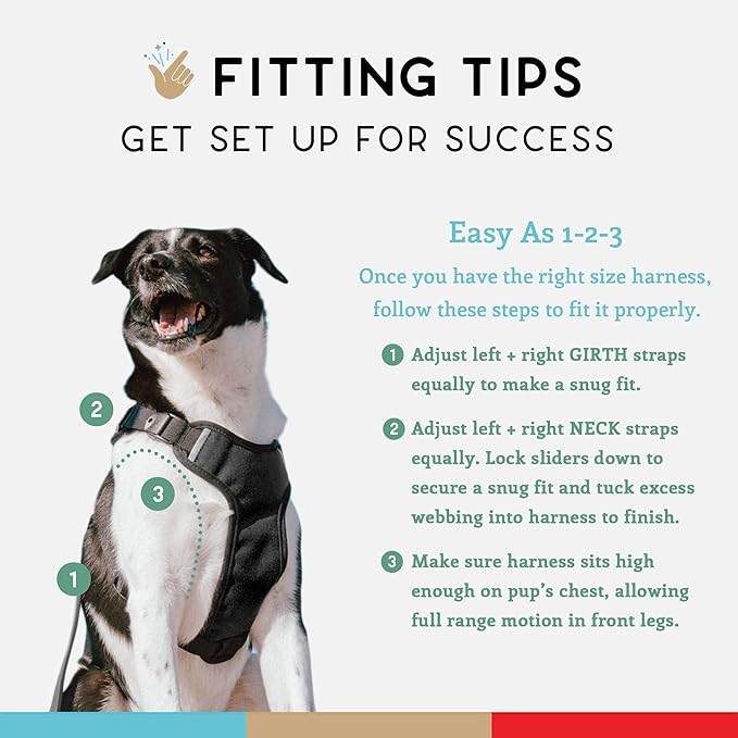 Dog Harness, Puppy Harness, Soft Harness for Dogs, Comfortable Dog Harness, Small Dog Harness, Dog Harness with Padding, Snug Fit Design, 4 Point Adjustable - Wildebeest (M - 22~28 inch Girth, Black)
