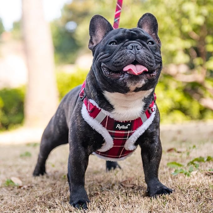 PUPTECK No Pull Dog Harness and Leash Set Reflective No Choke Step in Puppy Halter for XS Small and Medium Sized Dogs, Red Plaid, Plush, L