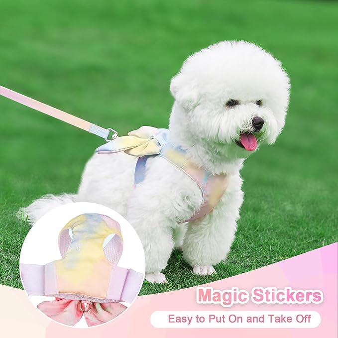 PETCARE Cute Bow Tie Dog Harness and Leash Set Elegant Rainbow Gradient Puppy Harness No Pull Soft Mesh Pet Cat Dog Vest Harnesses for Small Dogs Cats, Yellow