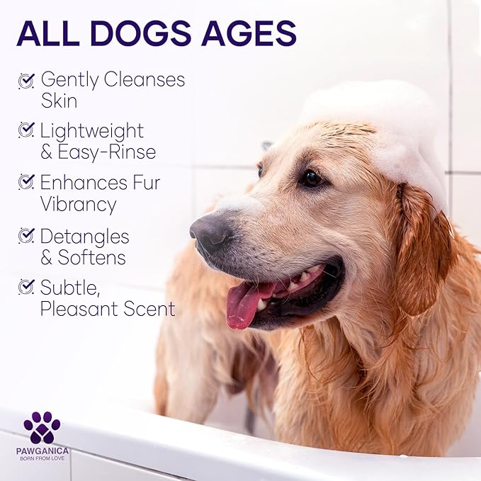 Pawganica 2-in-1 Purple Shampoo for Dogs, Supports Coat Whitening & Softness, pH-Balanced, Fur Whitening Dog Shampoo and Conditioner, Shampoo for Smelly Dogs 8 fl oz