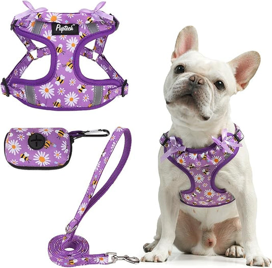 PUPTECK No Pull Dog Harness and Leash Set Reflective No Choke Step in Puppy Halter for XS Small and Medium Sized Dogs, Purple, Printed Fabric, L