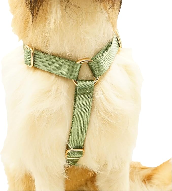 Nylon No Pull Dog Harness with Gold Metal Buckles,Easy Walking and Training Dog Harness (Sage Green, S)