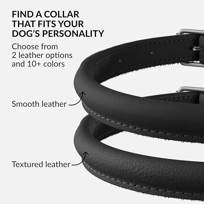 CollarDirect Rolled Leather Dog Collar, Soft Padded Round Puppy Collar, Handmade Genuine Leather Collar Dog Small Large Cat Collars 13 Colors (8-11 Inch, Black Smooth)