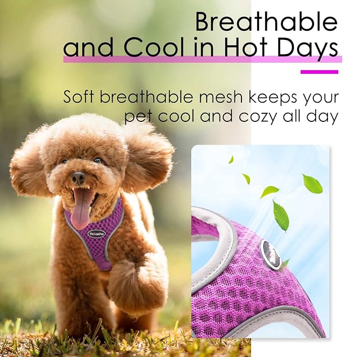 ThinkPet Harness and Leash Set Reflective Breathable Soft Air Mesh No Pull Puppy Choke Free Over Head Vest Ventilation Harness with Leash for Puppy Small Medium Dogs and Cats