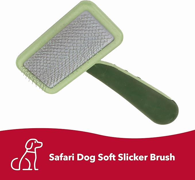Coastal Pet Safari Dog Soft Slicker Brush - Dog Grooming Brush for Shedding - for Dogs with Short, Medium and Long Hair - Small - 6.5" x 2.5"