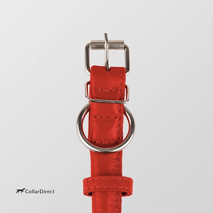 CollarDirect Rolled Leather Dog Collar, Soft Padded Round Puppy Collar, Handmade Genuine Leather Collar Dog Small Large Cat Collars 13 Colors (13-16 Inch, Red Textured)