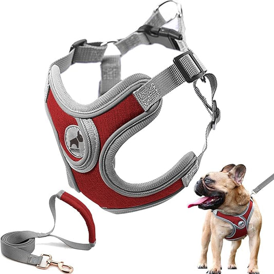 Dog Harness with Leash Set, No Pull Adjustable Step in Dog Collars Frenchie Harness Vest Harness for Small Medium Dogs Walking and Running(S, Red)