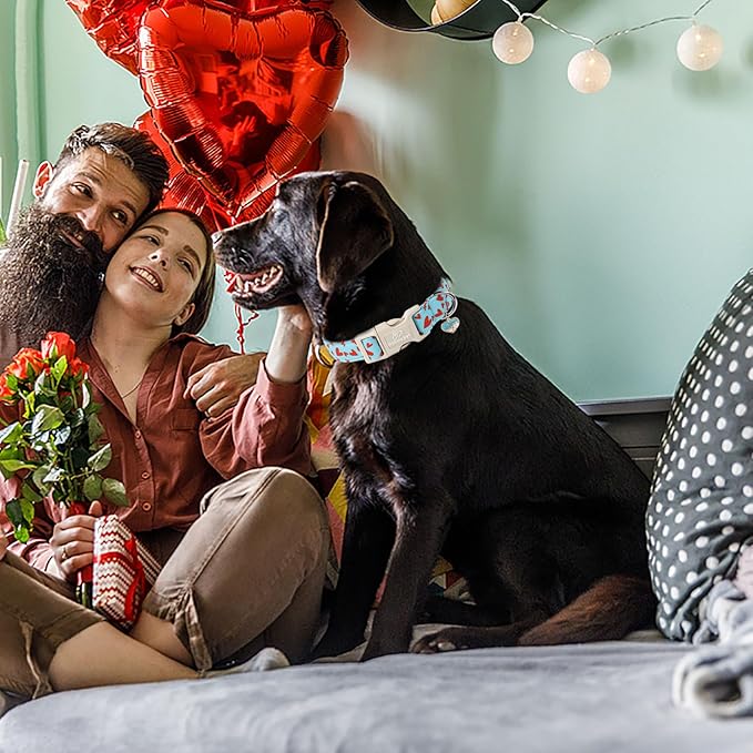 Valentine's Day Dog Collar - Cute Blue Valentines Dog Collar Girl Boy Durable Adjustable Red Heart Pattern Charm Dog Collars for Small Medium Large Dogs XS