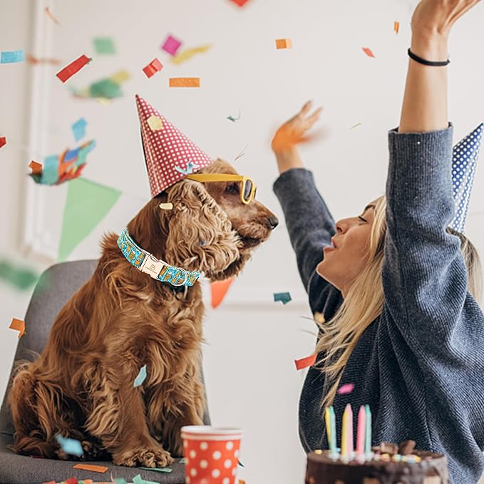 Lionheart glory Dog Collar Blue Dog Collar Summer Dog Collar Party Collar Dog Boy or Girl Soft Durable Adjustable Dog Collars for Large Dogs