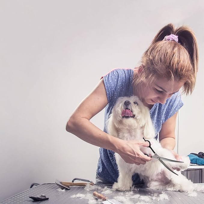 Dragon Creek 7" Upward Curved Dog Grooming Scissors - Safety Shears for Face & Paws Trimming - Black