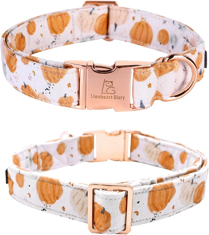 Lionheart glory Dog Collar Halloween Collar Dog Fall Dog Collars, Adjustable Heavy Duty Dog Collar for Small Dogs Pumpkin Collar Dog