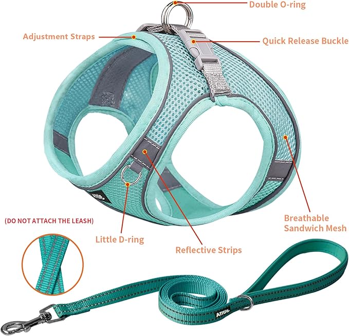 AIITLE Escape Proof Dog Harness - Step in Adjustable Dog Harness No Choke Over with Quick-Release Buckle for Spring- Outdoor Walking, Camping, Training for Medium Dogs Pure Turquoise XL