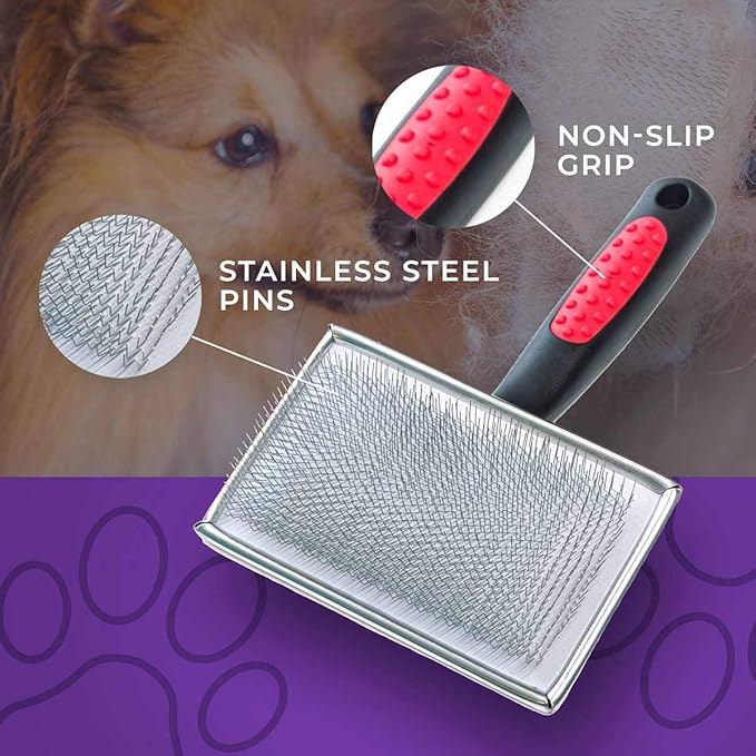 Ryan's Pet Supplies Paw Brothers Flat Slicker Brush for Dogs, Professional Grade, Coated Tips, Gentle on Skin, Maximum Coverage, Extra Large