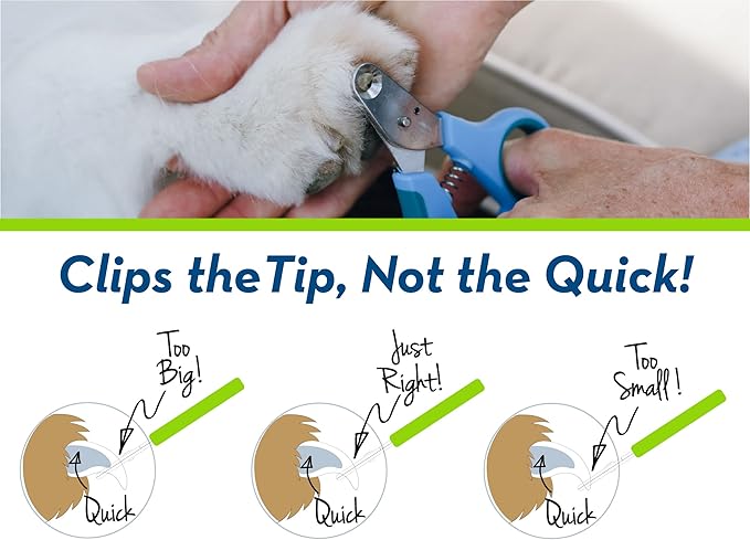 Zen Clipper Pet Nail Clipper for Dogs – Dog Nail Trimmer for Safer Pet Grooming Care - Clean, Quiet, and Easy-to-Use Stainless Steel Claw Trimmer - (3.5mm Hole)