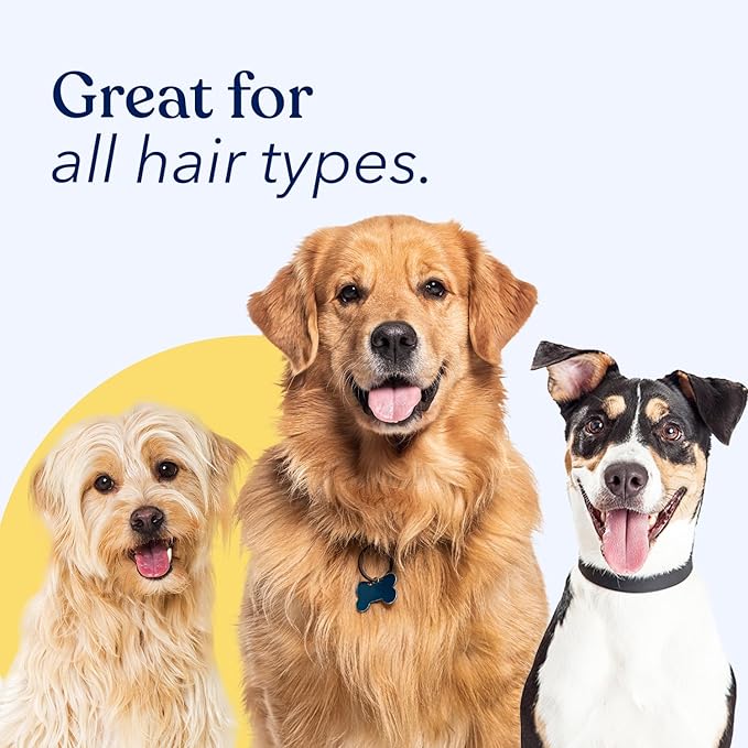 Honest Paws Dog Dry Shampoo - Waterless No Rinse Spray Formula Reducing Itch Cleanse Hydrate Nourish Dry Skin and Smelly Coat Help Decrease Odor Shedding and Allergies - Coconut & Mango - 8 oz