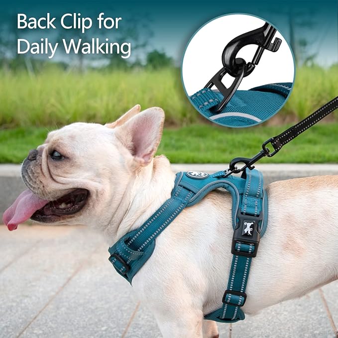 PoyPet No Pull Dog Harness, No Choke Reflective Dog Vest, Adjustable Pet Harnesses with Easy Control Padded Handle for Small Medium Large Dogs(Tumalo Teal,L)