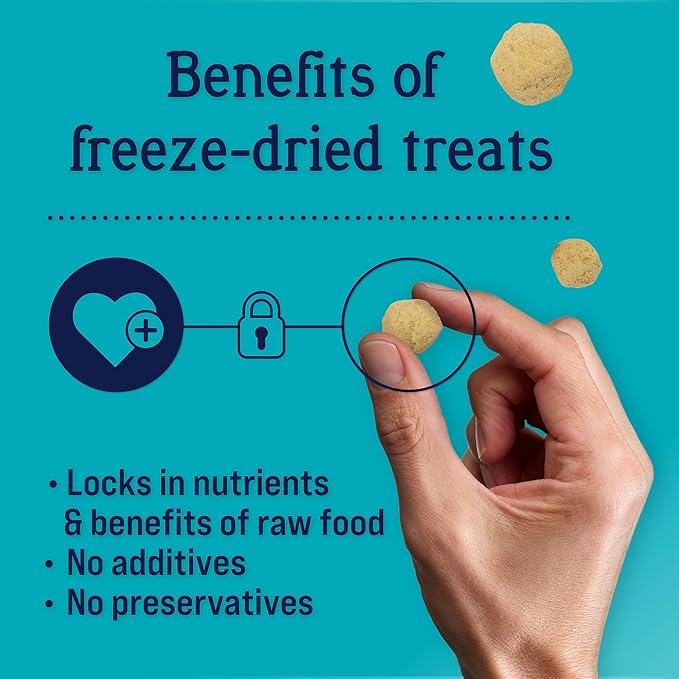 Stewart Freeze Dried Dog Treats, PuffPops Bacon and Cheese Recipe, Gluten Free, 2.8 Ounce Resealable Pouch, Made in USA, Dog Training Treats