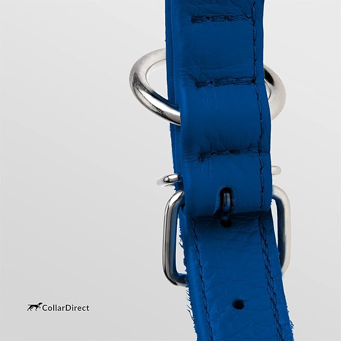 CollarDirect Rolled Leather Dog Collar, Soft Padded Round Puppy Collar, Handmade Genuine Leather Collar Dog Small Large Cat Collars 13 Colors (18-22 Inch, Deep Blue Textured)