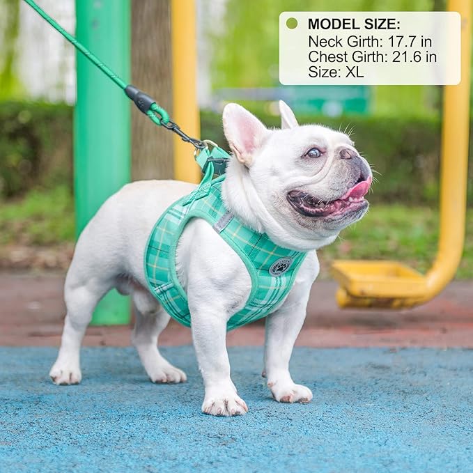BEAUTYZOO Small Dog Harness and Leash Set,Step in No Chock No Pull Soft Mesh Dog Harnesses Reflective for Extra-Small/Small Medium Puppy Dogs and Cat, Plaid Dog Vest Harness for XS S Pets,Turquoise XL
