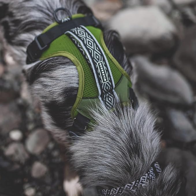 Wilderdog Lightweight Dog Harness with Reflective Straps - Small - Olive