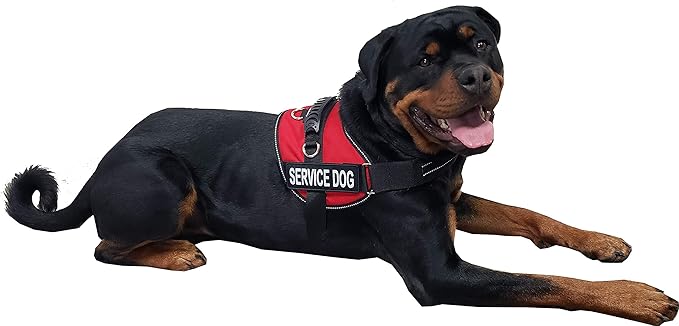 ActiveDogs Air-Tech Service Dog Vest Harness Vest, Large Girth 25"-35" w/Handle, ADA Cards + Reflective Service Dog Patches - Red