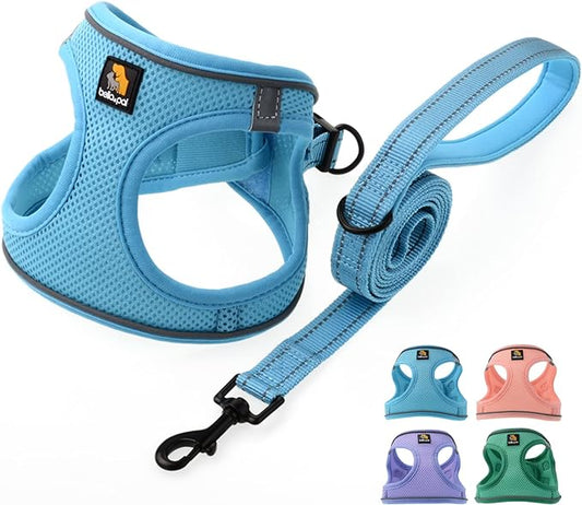 BELLA & PAL Puppy Harness with Leash Set, Dog Harness for Small Dogs No Pull, Dog Leash for Small Dogs, Step in Harness for Extra Small Dogs, Blue Harness, XXS