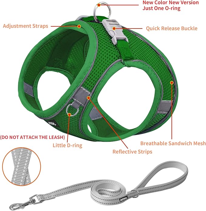 AIITLE Easy Walk Dog Harness and Leash Set - Pet Supply No Pull, Step in Adjustable Dog Harness with Padded Vest for Spring, Dog Harness No Choke Over, Easy to Put on Medium Dogs Green L