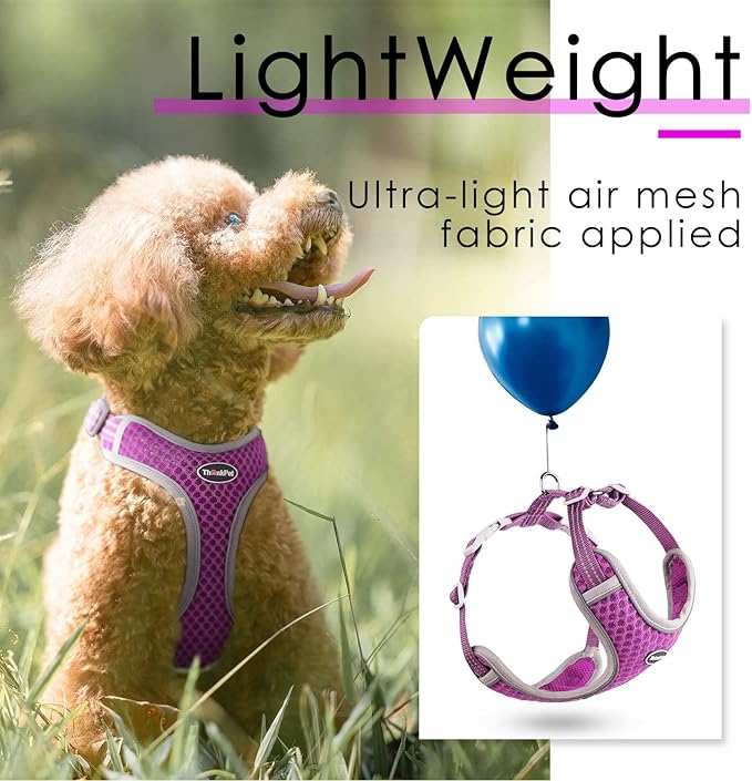 ThinkPet Harness and Leash Set Reflective Breathable Soft Air Mesh No Pull Puppy Choke Free Over Head Vest Ventilation Harness with Leash for Puppy Small Medium Dogs and Cats