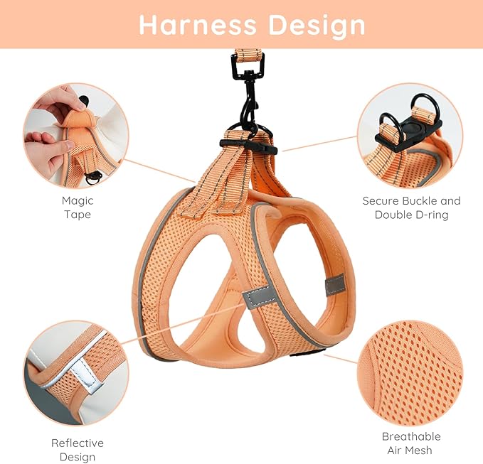 BELLA & PAL Puppy Harness with Leash Set, Dog Harness for Small Dogs No Pull, Dog Leash for Small Dogs, Step in Harness for Extra Small Dogs, Peach Harness, XS