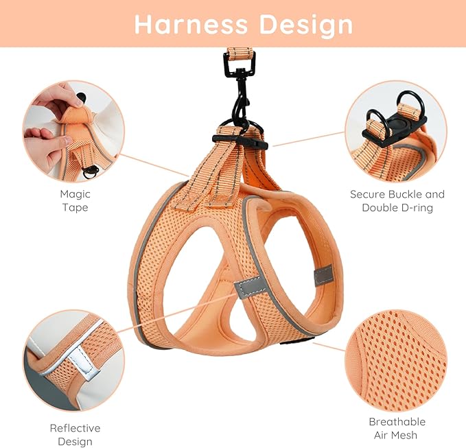 BELLA & PAL Puppy Harness with Leash Set, Dog Harness for Small Dogs No Pull, Dog Leash for Small Dogs, Step in Harness for Extra Small Dogs, Peach Harness, L