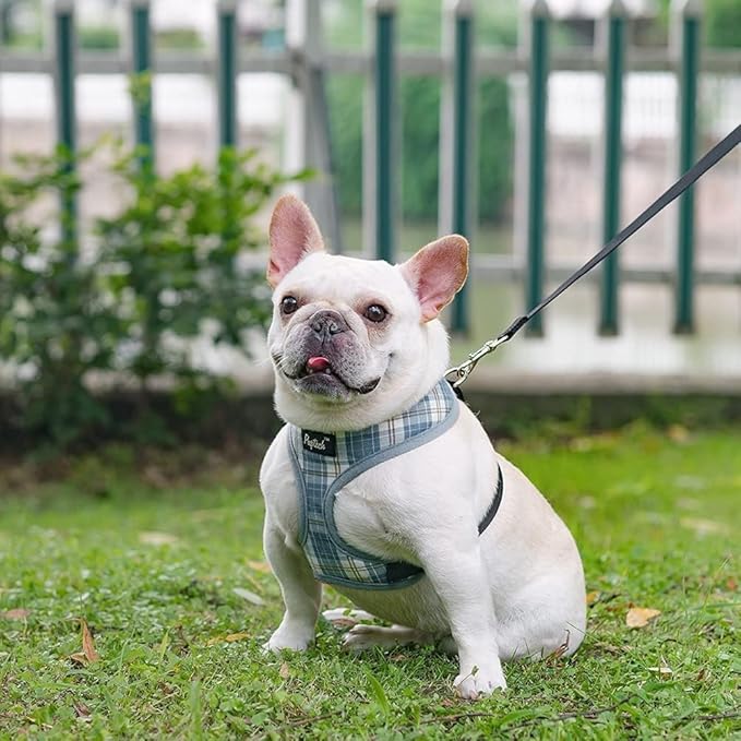 PUPTECK Soft Mesh Dog Harness and Leash Set Pet Puppy Cat Comfort Padded Vest No Pull Harnesses, Sky Blue, XS