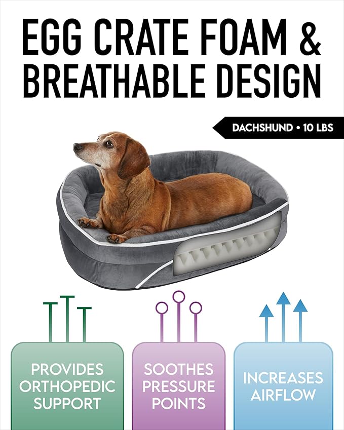 OhGeni Orthopedic Dog Bed for Small Dogs, Dog Couch Design with Egg Foam Support, Removable, Machine Washable Plush Cover and Non-Slip Bottom with Four Sided Bolster Cushion (Gray)