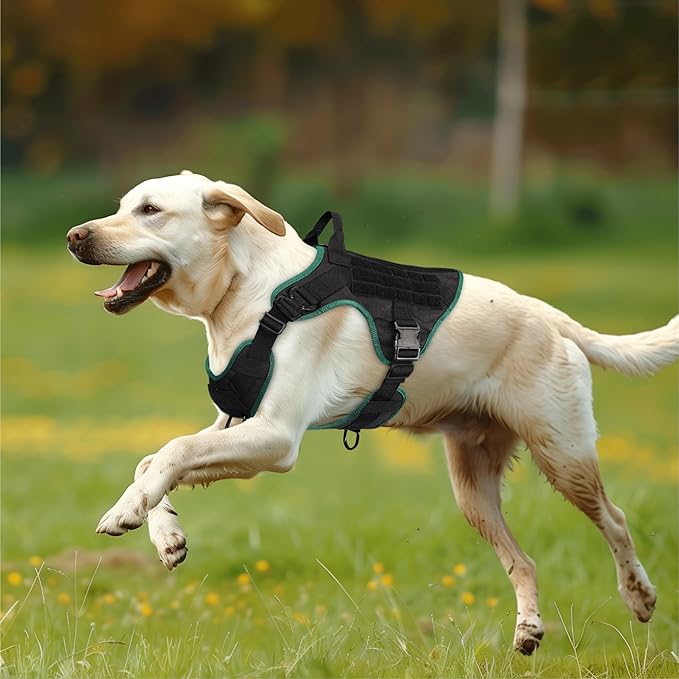Navaris Tactical Dog Harness and Vest Set - Strong & Adjustable Fit with Metal D Ring, Front Buckles, and Handle - for Military Service Training or Assistance Dogs - Large