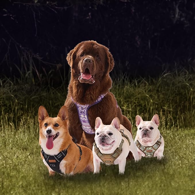 Purple Dog Harness with Ethnic Pattern for Big Dog, Like English Bulldog Doberman Husky Rottweiler Labrador, Easy to Put on and Take Off, No Pull Easy Walk Escapeproof No Choke, Large