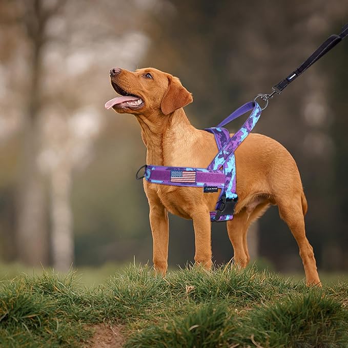 Annchwool No Pull Dog Harness with Soft Padded Handle,Escape Proof and Quick Fit to Adjust Dog Harness,Easy for Training Walking for Small & Medium and Large Dog(Camo Purple,XL)