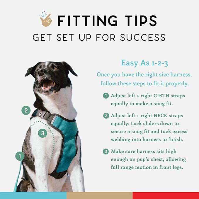 Dog Harness, Puppy Harness, Soft Harness for Dogs, Comfortable Dog Harness, Small Dog Harness, Dog Harness with Padding, 4 Point Adjustable - Wildebeest (M - 22~28 inch Girth, Turquoise)