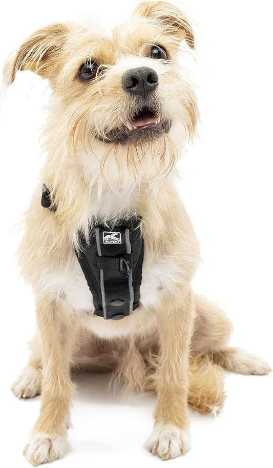 Kurgo Tru-Fit Smart Harness, Dog Harness, Pet Walking Harness, Quick Release Buckles, Front D-Ring for No Pull Training, Includes Dog Seat Belt Tether (Black, X-Small)