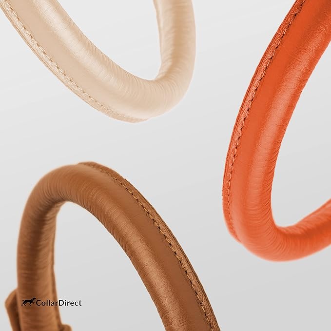 CollarDirect Rolled Leather Dog Collar, Soft Padded Round Puppy Collar, Handmade Genuine Leather Collar Dog Small Large Cat Collars 13 Colors (15-18 Inch, Orange Textured)