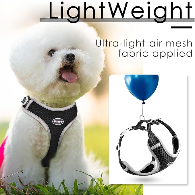 ThinkPet Harness and Leash Set Reflective Breathable Soft Air Mesh No Pull Puppy Choke Free Over Head Vest Ventilation Harness with Leash for Puppy Small Medium Dogs and Cats