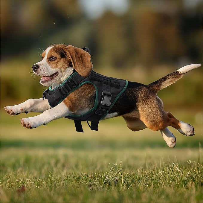 Navaris Tactical Dog Harness and Vest Set - Strong & Adjustable Fit with Metal D Ring, Front Buckles, and Handle - for Military Service Training or Assistance Dogs - Small
